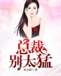 总裁别太猛