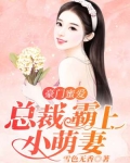 豪门蜜爱：总裁霸上小萌妻