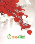 巧姻缘，暗王的绝色傻妃