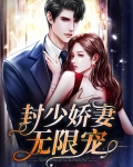 小说封少娇妻原版的