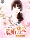 隐婚挚爱：前夫请放手