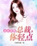 贪欢成瘾：总裁，你轻点