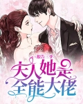 报告三爷：夫人她是全能大佬 