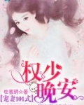宠妻101式：权少，晚安！