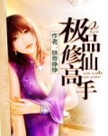 极品修仙高手(书坊)