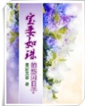 宝妻如珠的悠闲日子
