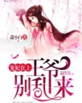 宠妃在上：王爷，别乱来！