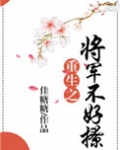 重生之将军不好撩