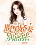 豪门危情：腹黑娇妻别嚣张