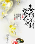 春情不到梨花白