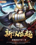 三国之新汉崛起