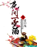 花间一壶酒