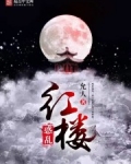 惑乱红楼