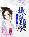 公主有令：摄政王爷来救驾