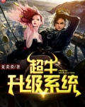 超牛升级系统