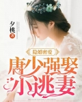 隐婚密爱：唐少强娶小逃妻