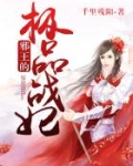 邪王的极品战妃