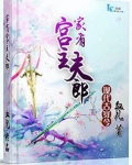 家有宫主夫郎