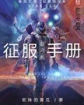 银河系征服手册