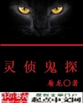 灵侦鬼探