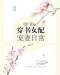 穿书女配宠妻日常