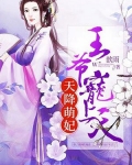 天降萌妃：王爷宠上天