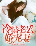 冷情老公娇宠妻
