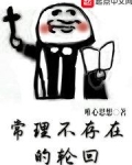 常理不存在的轮回