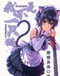 我不是一只猫