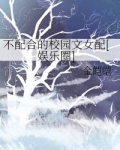 不配合的校园文女配