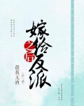 嫁给反派之后