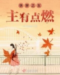快穿之女主有点燃