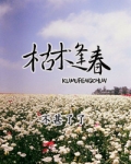枯木逢春