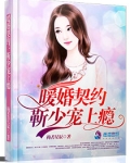 暖婚契约：靳少，宠上瘾