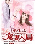 重生之爱妻入局