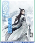 穿越之霸爱残妻