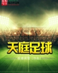天庭足球