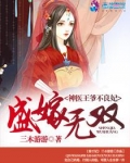盛嫁无双：神医王爷不良妃