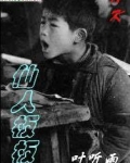 仙人板板