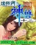 十二神兽美女