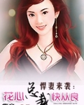 悍妻来袭：BOSS非情勿扰