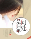 何处是归年