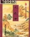 天龙甲