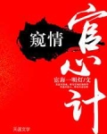 窥情：官心计