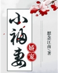 娇宠小福妻
