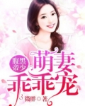 腹黑帝少：萌妻乖乖宠
