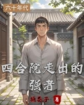 四合院之有挂绝不低调