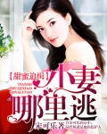 甜蜜追缉：小妻哪里逃