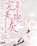 快穿之完美炮灰