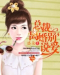 总裁离婚别说爱